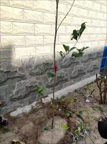 d8b96c85a87599c55126c6e5b98f4e1